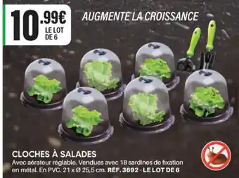 CLOCHES À SALADES