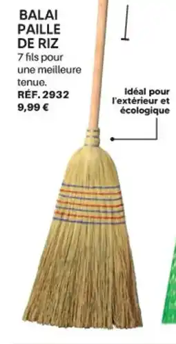 Shopix BALAI PAILLE DE RIZ offre