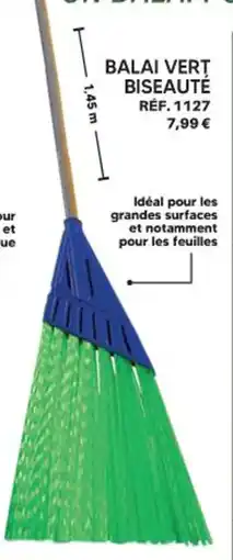 Shopix BALAI VERT BISEAUTÉ offre