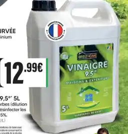 Shopix VINAIGRE DE JARDIN 9,5 offre