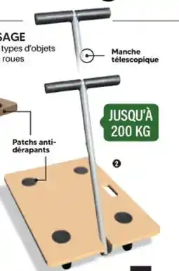 Shopix MANCHE TÉLESCOPIQUE offre