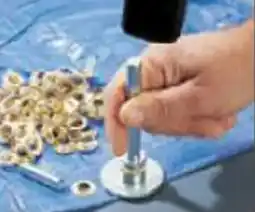 Shopix KIT POSE CEILLETS offre