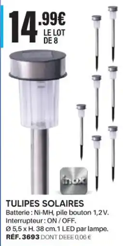 Shopix TULIPES SOLAIRES offre