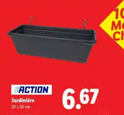 Lidl JARDINIÈRE offre