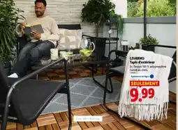 Lidl LIVARNO Tapis d'extérieur offre