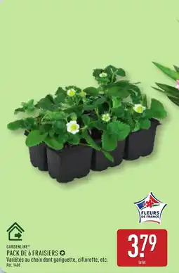 ALDI GARDENLINE Pack de 6 fraisiers offre