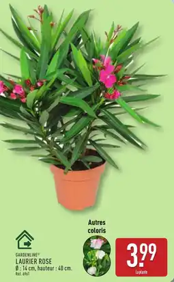 ALDI GARDENLINE Laurier rose offre