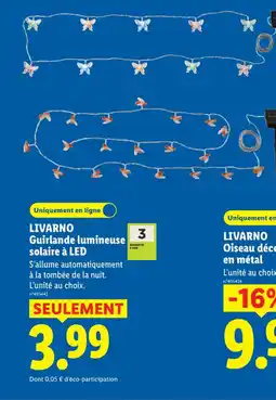 Lidl LIVARNO Guirlande lumineuse solaire à LED offre