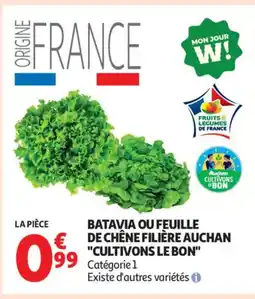 Auchan Supermarché Batavia ou feuille de chêne filière auchan cultivons le bon offre