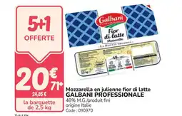 Promocash GALBANI PROFESSIONALE Mozzarella en julienne fior di latte offre