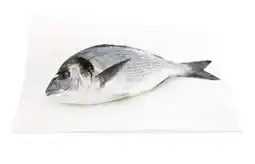 Auchan Sans marque pavé de saumon atlantique offre