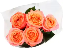 Auchan Sans marque bouquet 5 roses très gros boutons offre