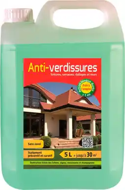 Auchan Sansmarque anti-verdissures 5l offre