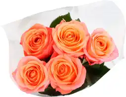 Auchan Supermarché Sans marque bouquet 5 roses très gros boutons offre