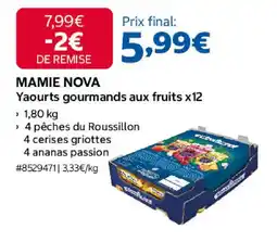 Costco Mamie nova yaourts gourmands aux fruits x12 offre