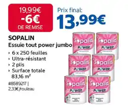 Costco Sopalin essuie tout power jumbo offre