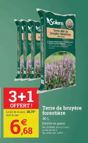 Terre de bruyère forestière