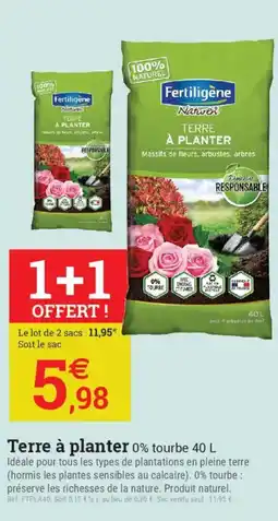 Espace emeraude Terre à planter offre