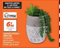 Netto URBAN LIVING Succulente artificielle offre