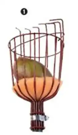 Shopix CUEILLE-FRUITS MÉTALLIQUE GRIFFE offre