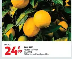 Auchan Agrumes offre