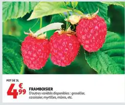 Auchan Framboisier offre
