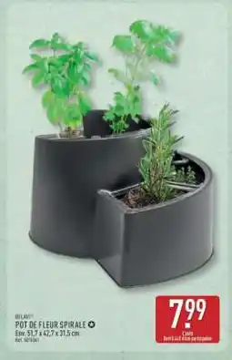 ALDI POT DE FLEUR SPIRALE offre