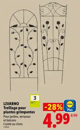 Lidl Livarno treillage pour plantes grimpantes offre