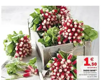 Hyper U Radis Rose offre