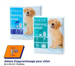 Action Alèses d'apprentissage pour chiot offre
