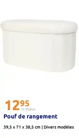Action Pouf de rangement offre