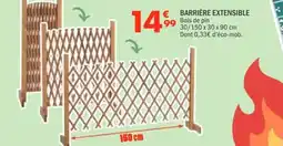 La Foir'Fouille Barrière extensible offre