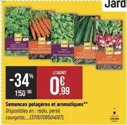 Bricorama Semences potagères et aromatiques offre