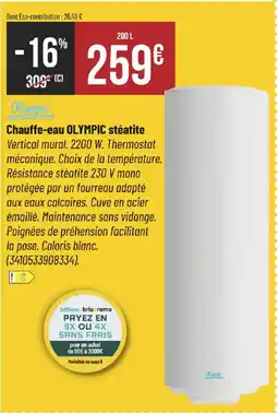 Bricorama Chauffe-eau OLYMPIC stéatite offre