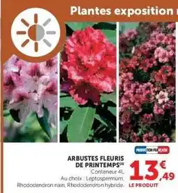 Hyper U ARBUSTES FLEURIS DE PRINTEMPS offre