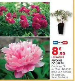 Hyper U PIVOINE DOUBLE offre