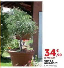 Hyper U Olivier Demi-Tige offre