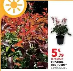 Hyper U Photinia Red robin offre