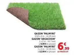 Hyper U GAZON 'PALMYRE' offre
