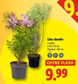 Lidl Lilas double offre