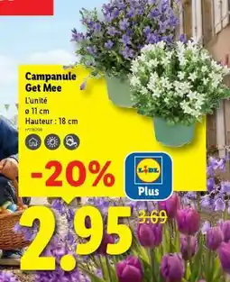 Lidl Campanule Get Mee offre