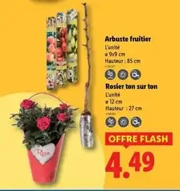 Lidl Rosier ton sur ton offre