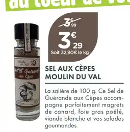 Point Vert Moulin du val sel aux cèpes offre