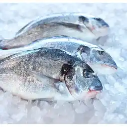 Carrefour Market Filiere qualite carf daurade royale filiere qualite carrefour offre