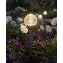 Carrefour Market Carrefour borne solaire craquelée offre