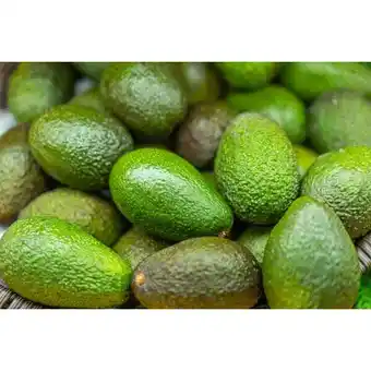 Carrefour Market Avocat offre