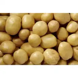 Carrefour Market Pomme de terre consommation blanche carrefour spéciale frites offre