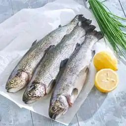 Carrefour Filiere qualite carf truite rose filière qualité carrefour offre