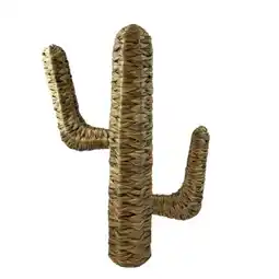 Carrefour Cactus déco offre