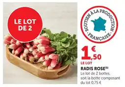 Bi1 Radis rose offre